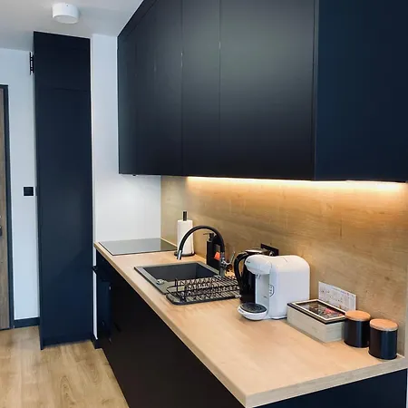 Motlawa Apartment-suna,gym&parking Danzig