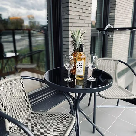 Motlawa Apartment-suna,gym&parking Apartament Gdańsk