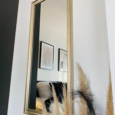 Motlawa Apartment-suna,gym&parking * Gdańsk